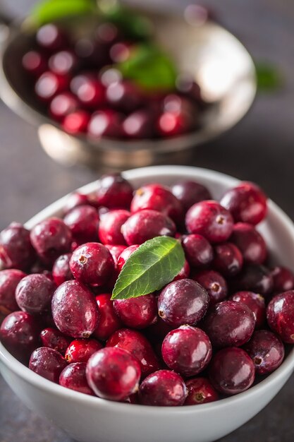 Fresh ripe cranberries in bowl on table close-up.