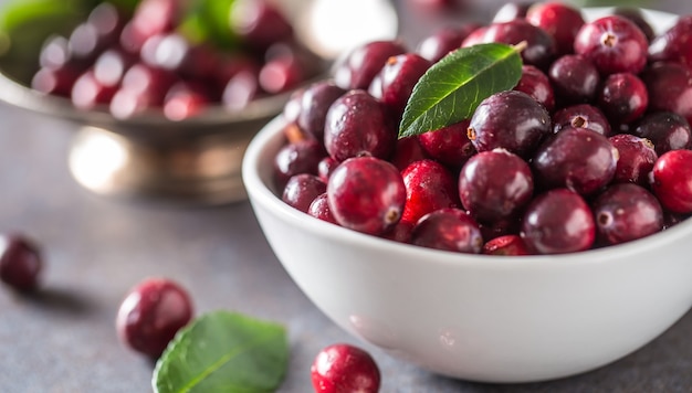 Fresh ripe cranberries in bowl on table close-up.