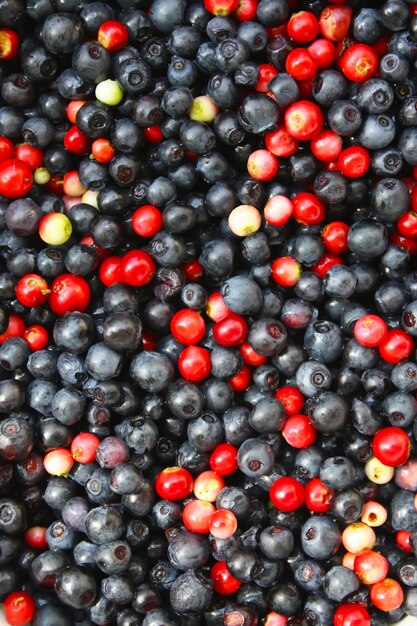 Fresh ripe forest ranberries and blueberries background