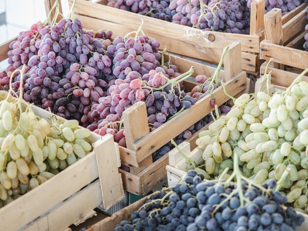 Fresh ripe fruits lying in the market