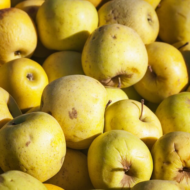 Свежие спелые золотые яблоки на фермерском рынке
