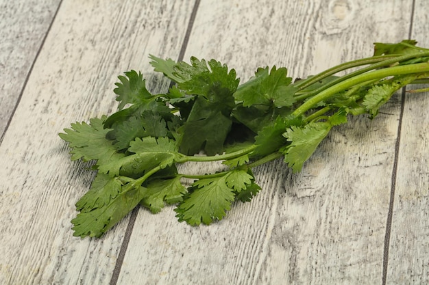 Fresh ripe Green cilantro leaves