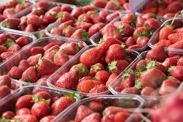 Fresh and ripe harvested strawberries berries with a red skin