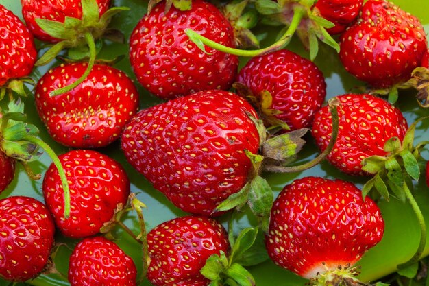 Fresh ripe juicy strawberries on the green plate