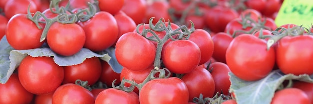 야채 개념을 판매하는 가격표가 있는 시장에 신선한 익은 즙이 많은 토마토