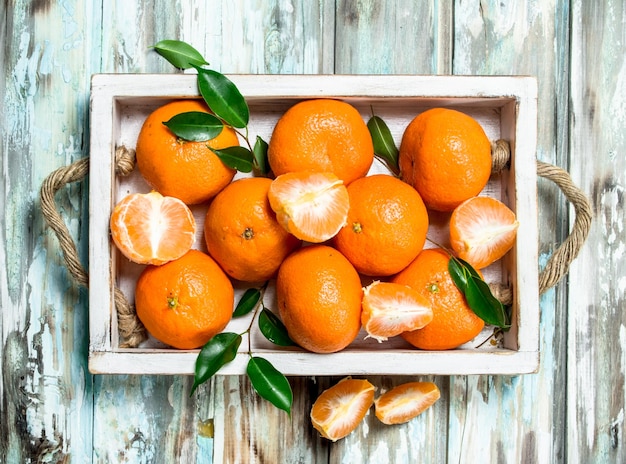 Fresh ripe mandarins with leaves in tray