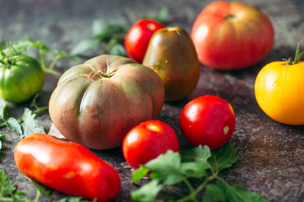 Fresh, ripe multi colored tomatoes on a dark background.