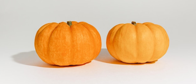 Fresh ripe orange pumpkins on white background Space for text mockup Halloween concept