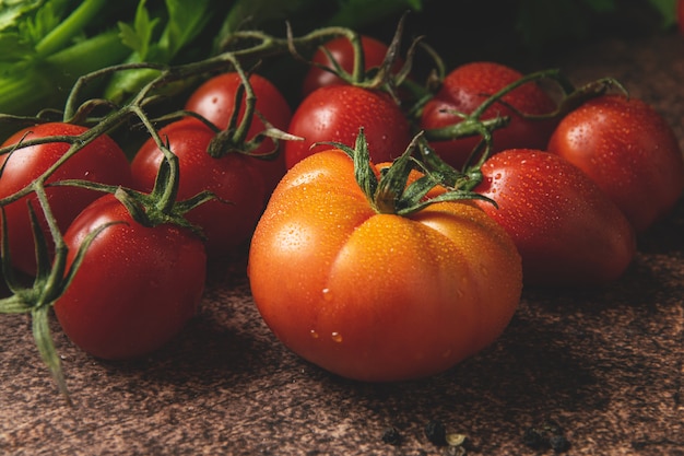 Fresh ripe organic tomatoes