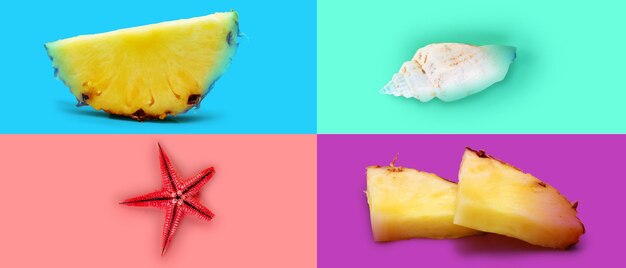 Fresh ripe pineapple fruit pineapple fruit slices isolated