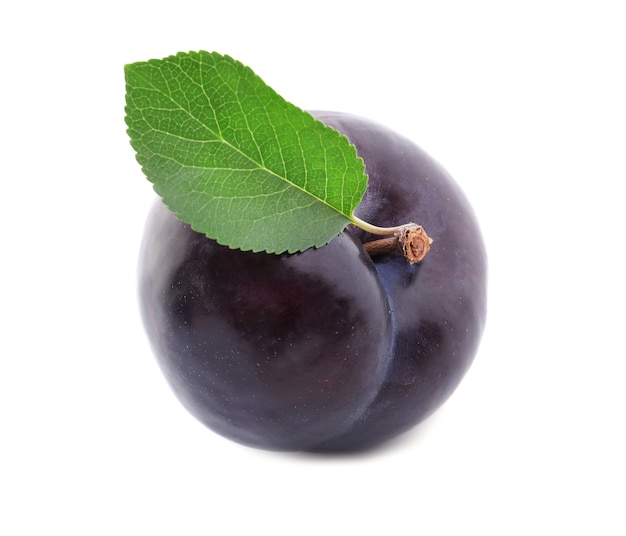 Fresh ripe plum on white surface