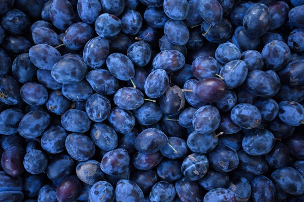 Fresh ripe plums close up