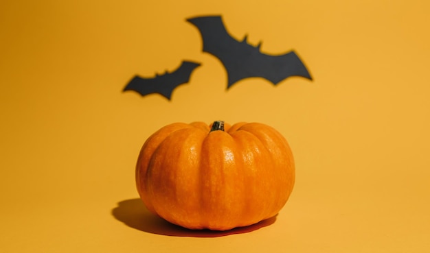 Fresh ripe pumpkin on orange background space with bats halloween concept