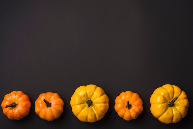 Photo fresh ripe pumpkins