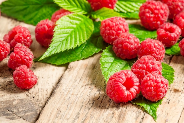 Fresh ripe raspberries with large leaves on the old wooden table selective focus