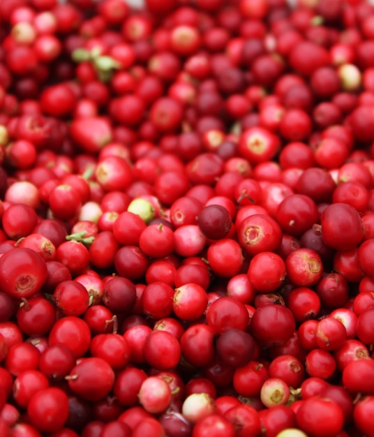 Fresh ripe red cranberries Natural berry background