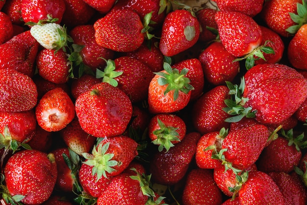 Fresh ripe strawberries