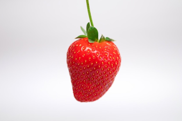 Fresh ripe strawberry on white background