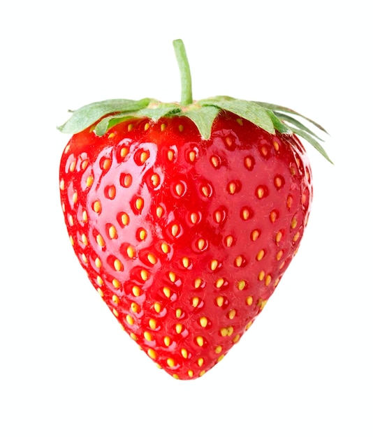 Fresh ripe strawberry