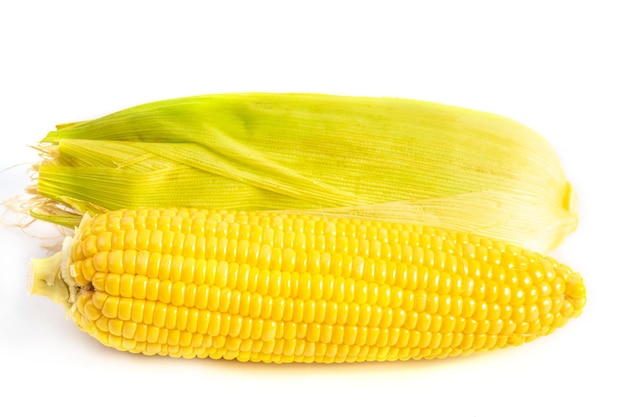 Fresh ripe sweet corn with green leaves isolated on white background