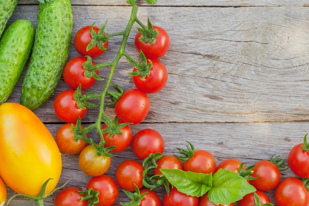 Fresh ripe vegetables