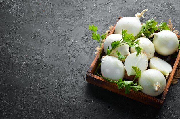 Fresh ripe white onions on black background Top view Free copy space