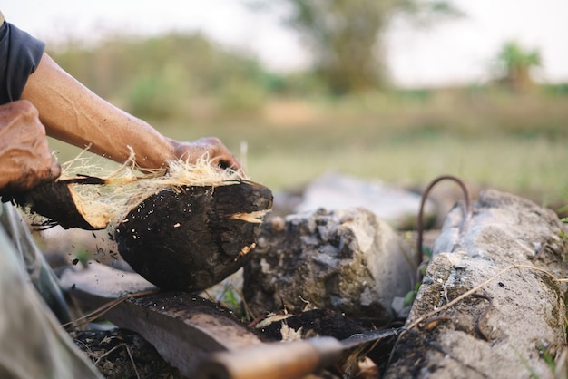 Photo fresh roasted coconut