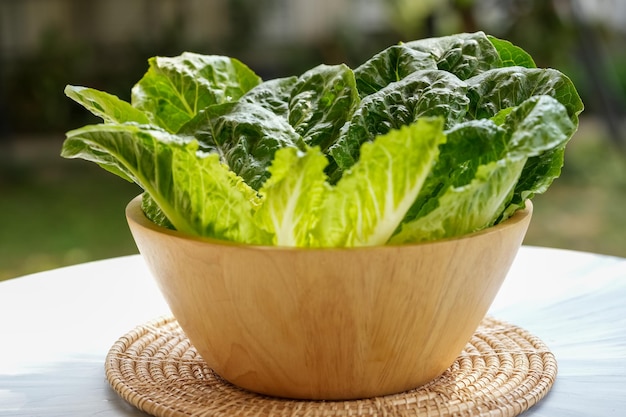 Fresh Romaine lettuce or green Cos Lettuce  in wooden bowl on green bokeh background