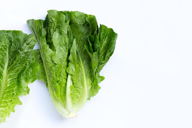 Fresh romaine lettuce isolated