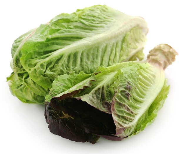 Fresh Romaine lettuce over white background