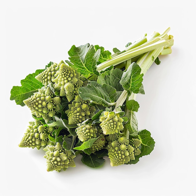 Photo fresh romanesco broccoli on white background