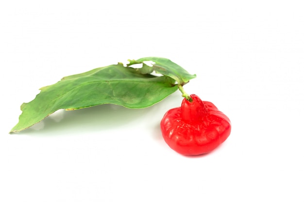 Fresh rose apple fruit isolate on white