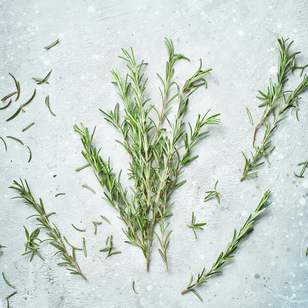 Photo fresh rosemary. aromatic spices. on a stone background. top view.