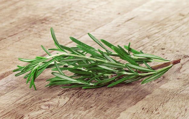 fresh rosemary branch on a wooden background