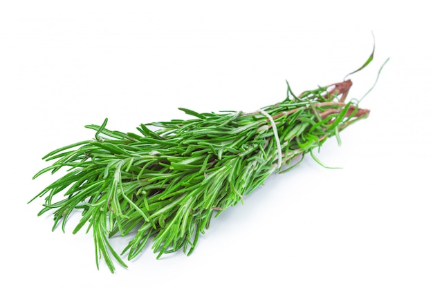 Fresh rosemary bunch isolated