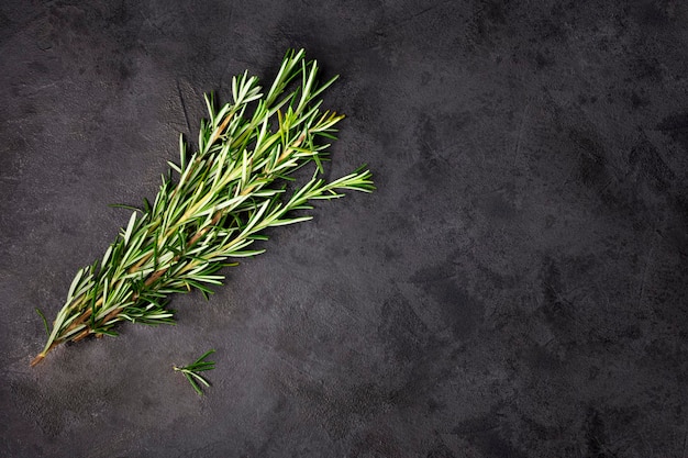 Fresh rosemary herb on the table