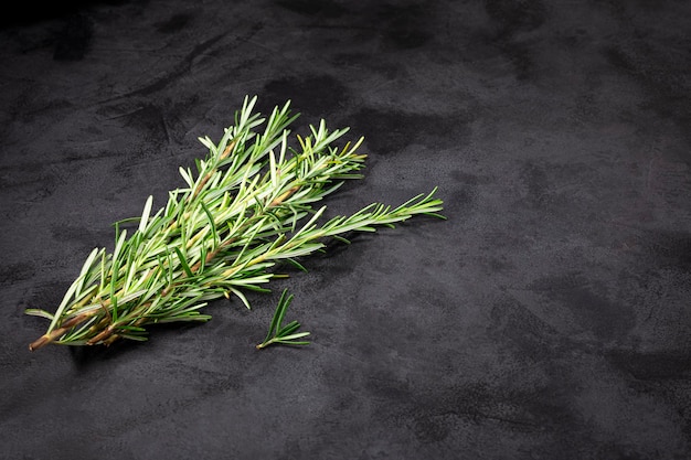 fresh rosemary herb on the table