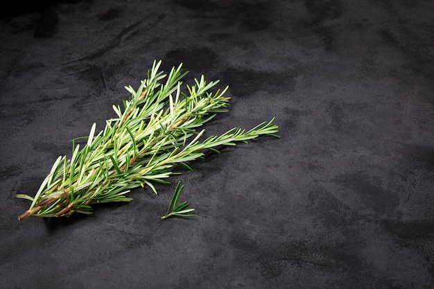 Photo fresh rosemary herb on the table