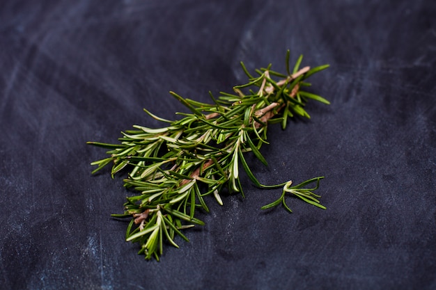 Photo fresh rosemary herb.