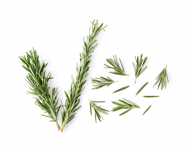 Photo fresh rosemary isolated on white