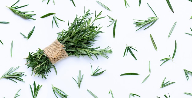 Fresh rosemary isolated on white.