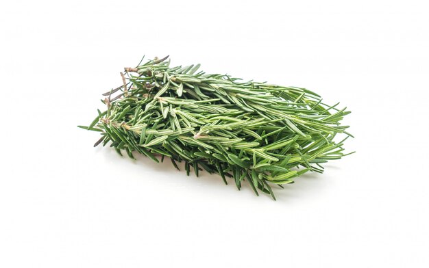 fresh rosemary isolated