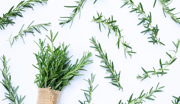 Photo fresh rosemary isolated.