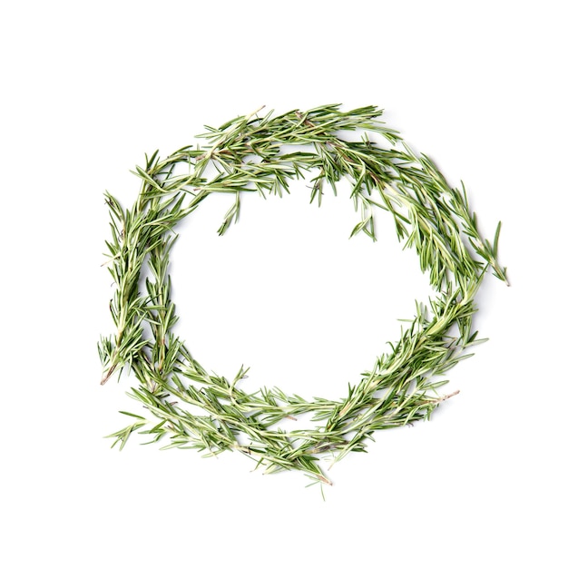 Fresh rosemary sprigs are laid out in a circle shape on a white background top view copy space