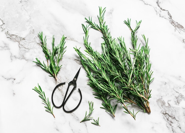 Fresh rosemary and vintage scissors on a marble background top view