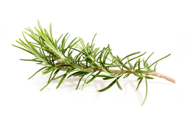 Fresh rosemary