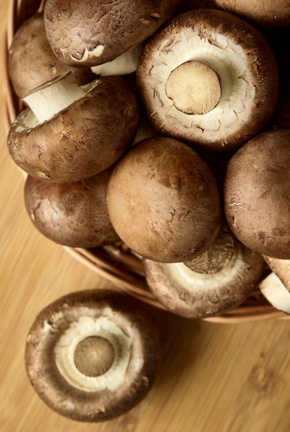 신선한 로얄 샴 피뇽 버섯, 평면도
