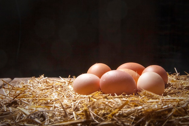 Fresh rural eggs in straw