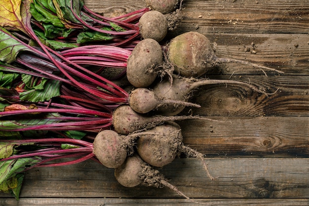 Fresh rustic natural vegetables on wooden table