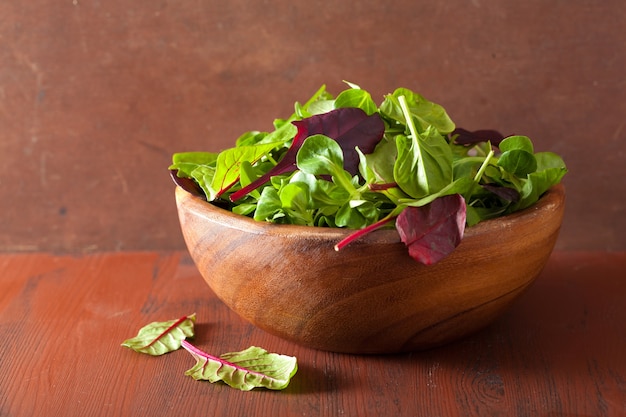 Fresh salad leaves in bowl: spinach, mangold, ruccola